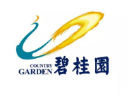 云和碧桂园地产